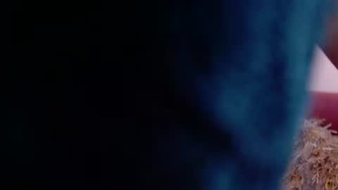 incredible_foxxy online show from August 2026 04:03:01 AM