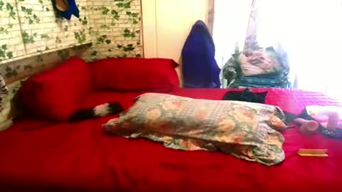 indian_blaze00 online show from February 2025 01:27:02 PM