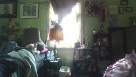 indigo_scorpio online show from February 2025 06:48:01 PM