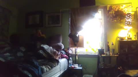 indigo_scorpio online show from February 2025 10:11:01 PM