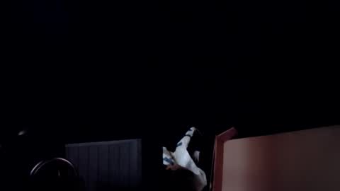 Snapshot of info_chat chatting on February 2026 03:26:01 AM sir. Grummps online show from February 2026 03:26:01 AM