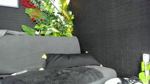 Snapshot of ingadn chatting on February 2025 11:33:01 AM IngAdn online show from February 2025 11:33:01 AM