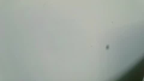 Snapshot of ingloriousuncut chatting on February 2025 06:54:01 AM Inglorious Hairy Uncut online show from February 2025 06:54:01 AM