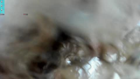 cesar and daniela online show from February 2025 08:42:02 PM