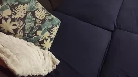 Snapshot of intersidereal chatting on December 2024 04:06:01 PM Marek online show from December 2024 04:06:01 PM