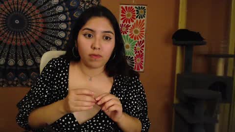 Africa online show from December 2024 11:47:01 PM