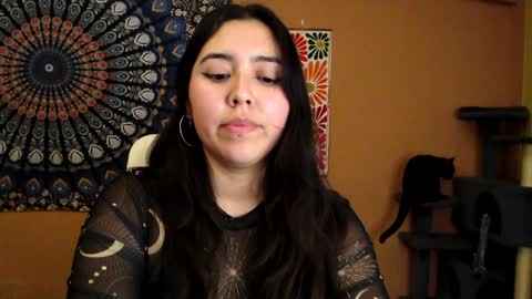 Africa online show from December 2024 06:04:02 PM