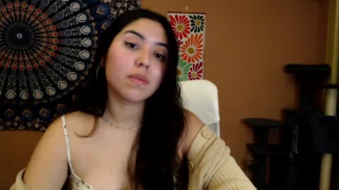 Africa online show from January 2025 04:22:02 PM