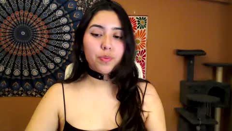 Africa online show from February 2025 06:09:02 PM