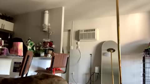IntoTheWoodsWeGo online show from May 2026 08:17:01 PM