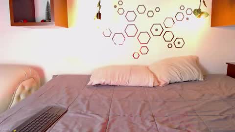 Iirs online show from December 2025 03:59:01 AM