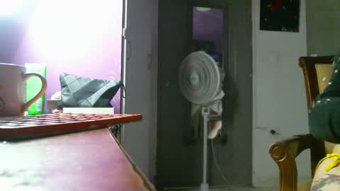 Snapshot of irisbell_ chatting on December 2024 01:55:02 PM Camilla online show from December 2024 01:55:02 PM