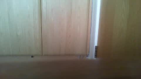 Snapshot of irish_sub chatting on December 2024 12:45:02 PM irish_sub online show from December 2024 12:45:02 PM