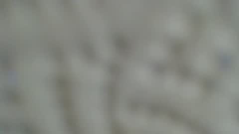 Snapshot of irishdude2483 chatting on January 2025 06:33:01 AM Irishdude2483 online show from January 2025 06:33:01 AM