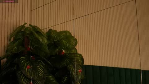 Maria online show from October 2025 12:55:02 AM