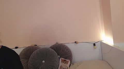 Snapshot of isabella__dark chatting on December 2024 12:42:02 AM    online show from December 2024 12:42:02 AM