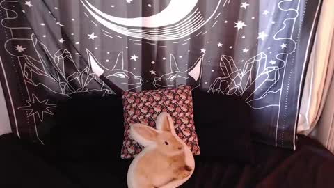 Snapshot of isabella__dark chatting on January 2025 07:29:01 PM    online show from January 2025 07:29:01 PM