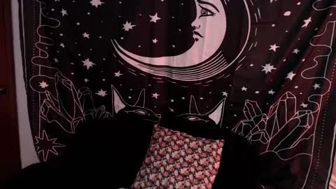 Snapshot of isabella__dark chatting on January 2025 01:17:01 AM    online show from January 2025 01:17:01 AM