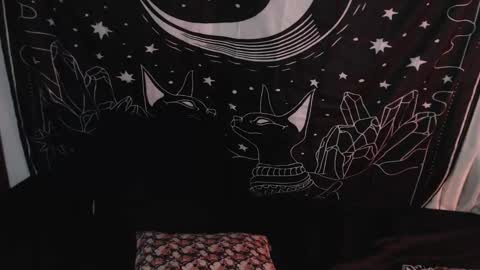 Snapshot of isabella__dark chatting on January 2025 01:42:02 AM    online show from January 2025 01:42:02 AM