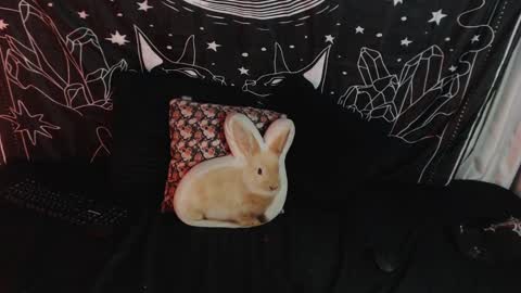 Snapshot of isabella__dark chatting on January 2025 03:39:01 AM    online show from January 2025 03:39:01 AM