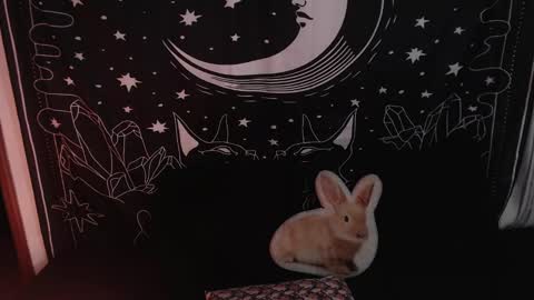 Snapshot of isabella__dark chatting on January 2025 12:14:02 AM    online show from January 2025 12:14:02 AM