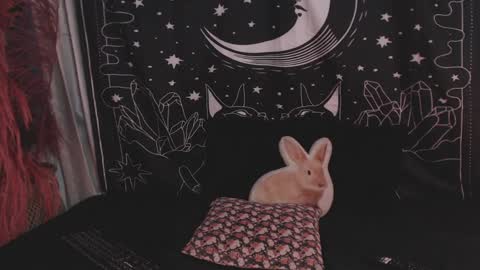 Snapshot of isabella__dark chatting on January 2025 11:14:02 PM    online show from January 2025 11:14:02 PM