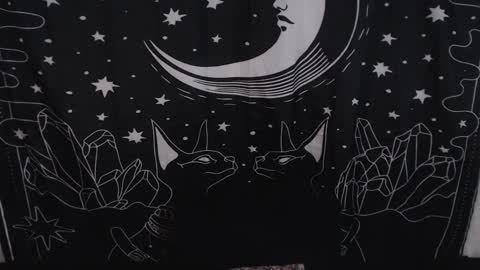 Snapshot of isabella__dark chatting on January 2025 11:24:01 PM    online show from January 2025 11:24:01 PM