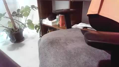 islandforfun online show from November 2025 07:02:02 PM