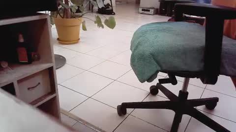 Snapshot of islandforfun chatting on July 2026 05:05:01 PM islandforfun online show from July 2026 05:05:01 PM