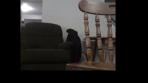 ital25usa online show from December 2024 06:52:02 AM