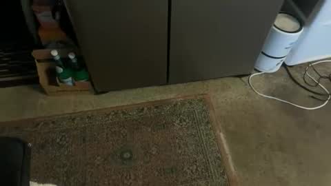 Snapshot of italiano9in chatting on November 2025 03:24:01 PM Tony online show from November 2025 03:24:01 PM