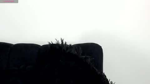 Angelica online show from April 2026 07:58:02 PM