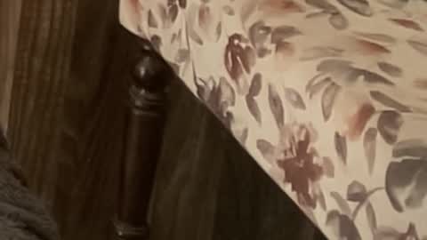 Snapshot of itsmylife021 chatting on November 2025 10:59:01 AM Raje online show from November 2025 10:59:01 AM