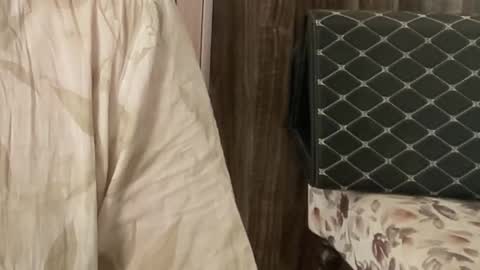 Snapshot of itsmylife021 chatting on November 2025 07:31:02 AM Raje online show from November 2025 07:31:02 AM