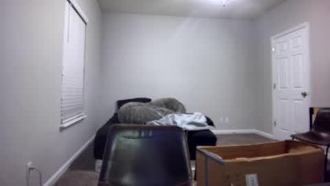 Snapshot of itstarzan chatting on December 2024 07:04:01 AM TARZAN online show from December 2024 07:04:01 AM