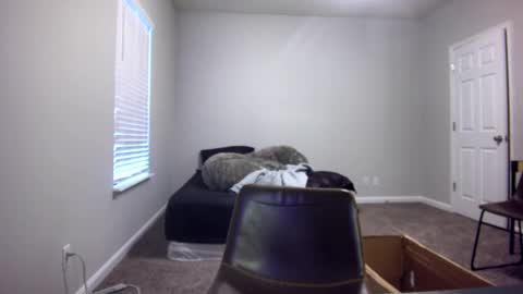 Snapshot of itstarzan chatting on December 2024 06:49:01 PM TARZAN online show from December 2024 06:49:01 PM