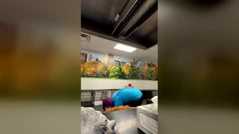 itsthatpalesiren online show from March 2026 12:26:01 AM