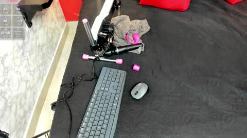 Ivis  online show from November 2025 12:19:02 PM