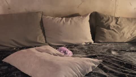 Snapshot of izi_fox chatting on February 2025 09:47:01 PM izi online show from February 2025 09:47:01 PM