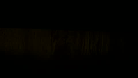 Mugen online show from February 2026 08:33:02 AM