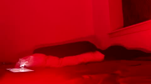 Snapshot of j4ckoff chatting on November 2025 05:50:02 AM j4ckoff online show from November 2025 05:50:02 AM