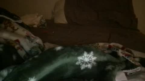 Snapshot of j_reyes24 chatting on January 2025 06:45:02 PM j_reyes24 online show from January 2025 06:45:02 PM