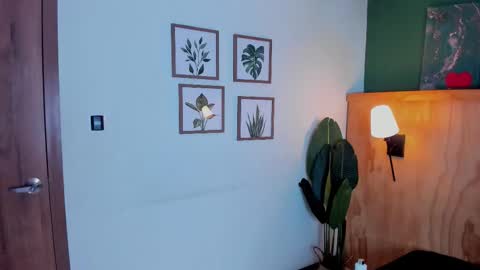 Snapshot of jabob_coper chatting on November 2025 03:17:02 AM David online show from November 2025 03:17:02 AM