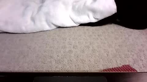 Snapshot of jack_wonder912 chatting on September 2025 04:12:02 AM jack_wonder912 online show from September 2025 04:12:02 AM