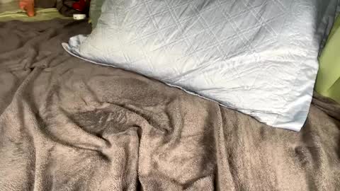 Snapshot of jacksbunnys chatting on January 2025 11:10:01 AM jacksbunnys online show from January 2025 11:10:01 AM