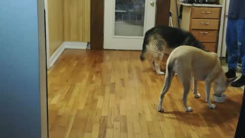 Snapshot of jacksonmale1974 chatting on January 2026 02:08:01 PM funtimes49203 online show from January 2026 02:08:01 PM