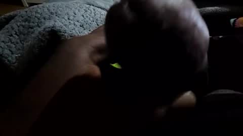 jackwiskyhoney online show from January 2026 03:21:02 AM