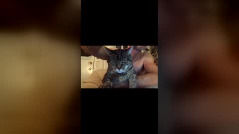 Jacob online show from December 2025 10:49:02 PM