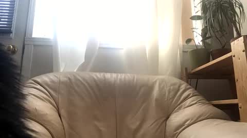 Jacob online show from February 2026 03:43:01 PM