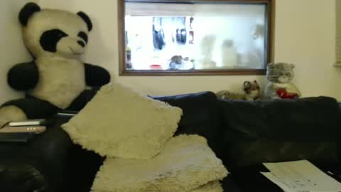 Snapshot of jacques_de_france chatting on January 2025 02:01:01 AM Jacques online show from January 2025 02:01:01 AM